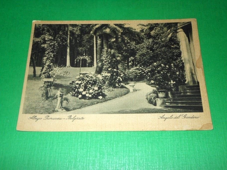Cartolina Belgirate ( Lago Maggiore ) - Albergo Primavera - …