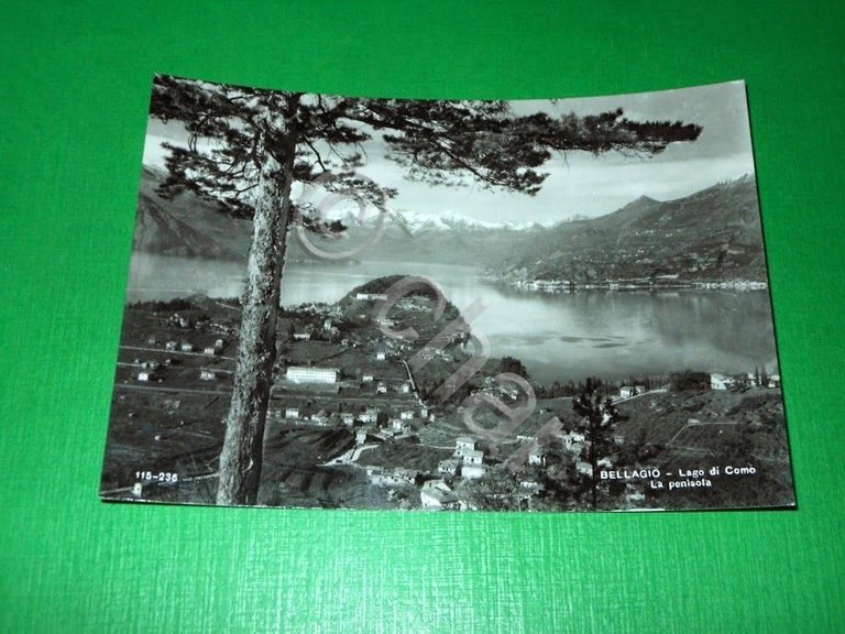 Cartolina Bellagio - Lago di Como - La penisola 1955 … | Immagine Gallery 2