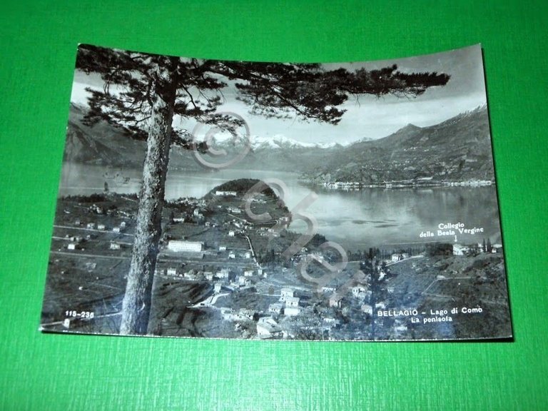 Cartolina Bellagio - Lago di Como - La penisola 1960