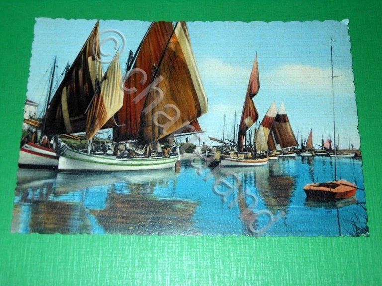 Cartolina Bellaria - Vele a riposo 1950 ca