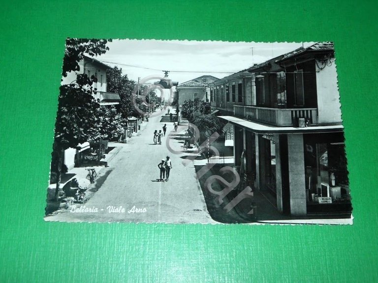 Cartolina Bellaria - Viale Arno 1960