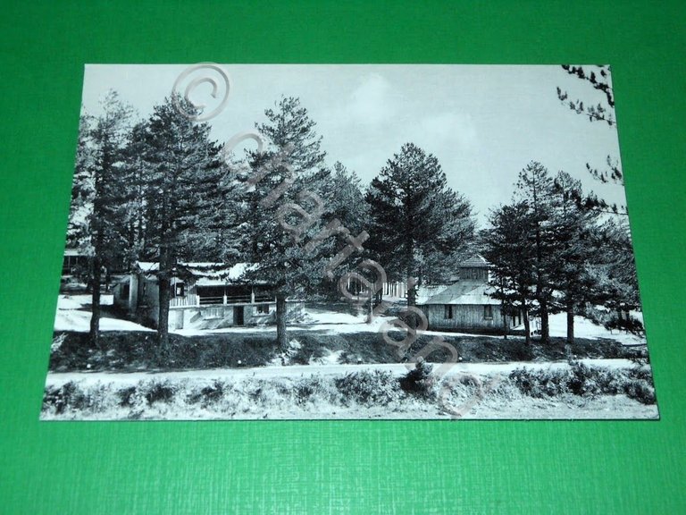 Cartolina Bellezze di Calabria - Sila - Fago del Soldato …