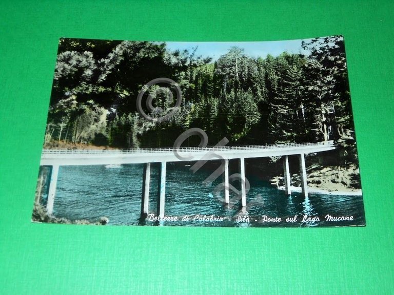 Cartolina Bellezze di Calabria - Sila - Ponte sul Lago …