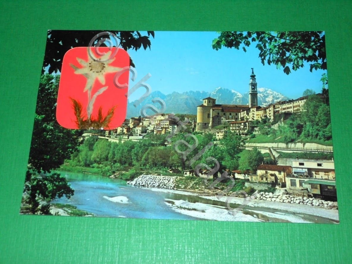 Cartolina Belluno - Panorama e fiume Piave 1960 ca.