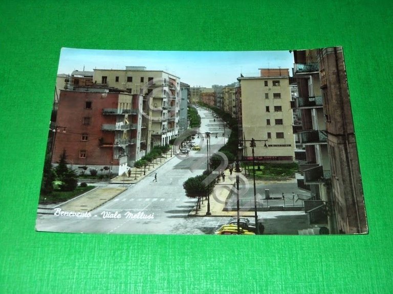 Cartolina Benevento - Viale Mellusi 1960 ca