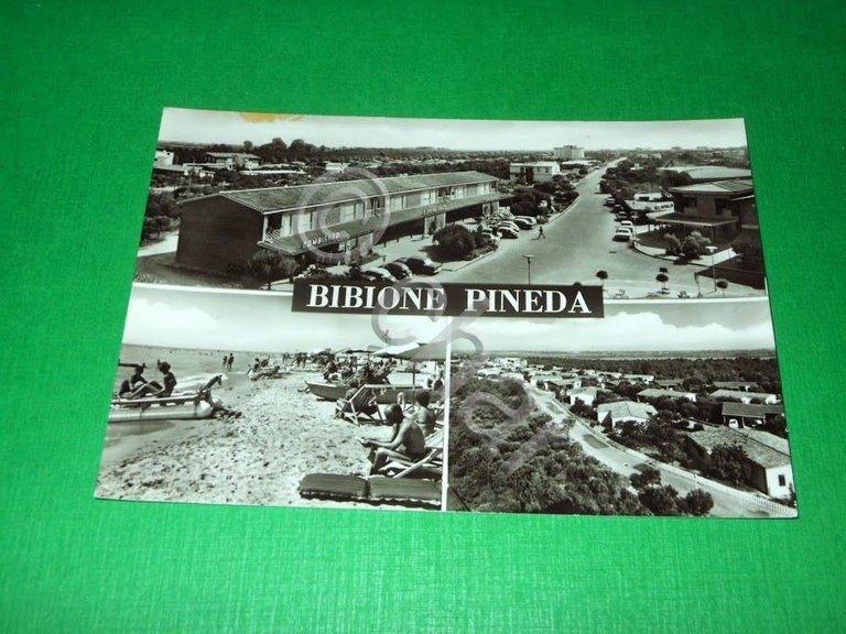 Cartolina Bibione Pineda - Vedute diverse 1955 ca