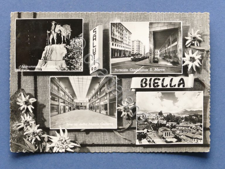 Cartolina Biella - Varie vedute - 1960