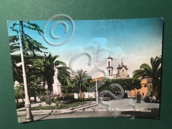 Cartolina Bitritto - Villa Comunale e Monumenti Ai Caduti - …