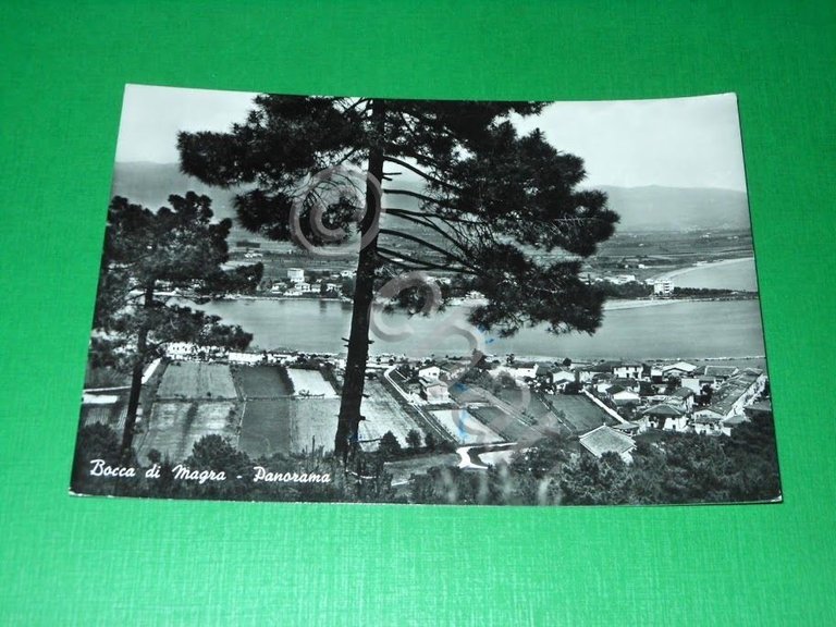 Cartolina Bocca di Magra - Panorama 1961