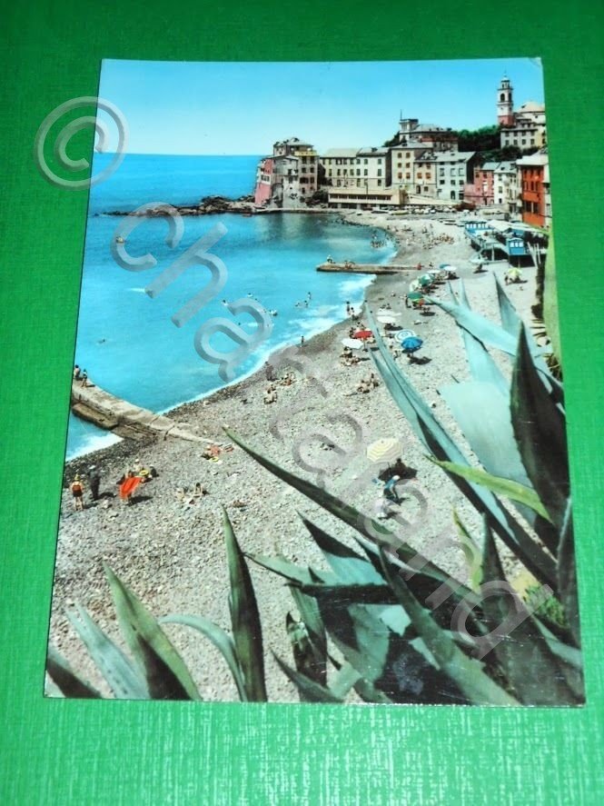 Cartolina Bogliasco - Golfo Paradiso - Spiaggia 1959.
