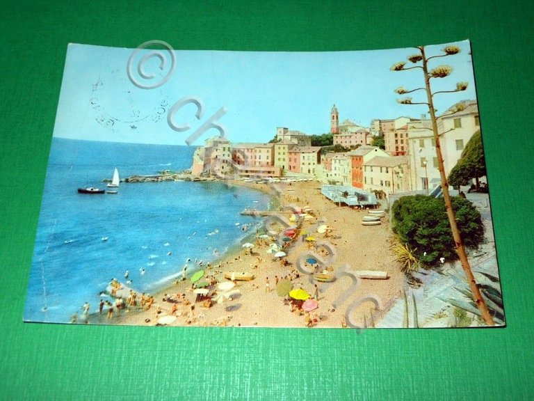 Cartolina Bogliasco ( Genova ) - Veduta della spiaggia - …