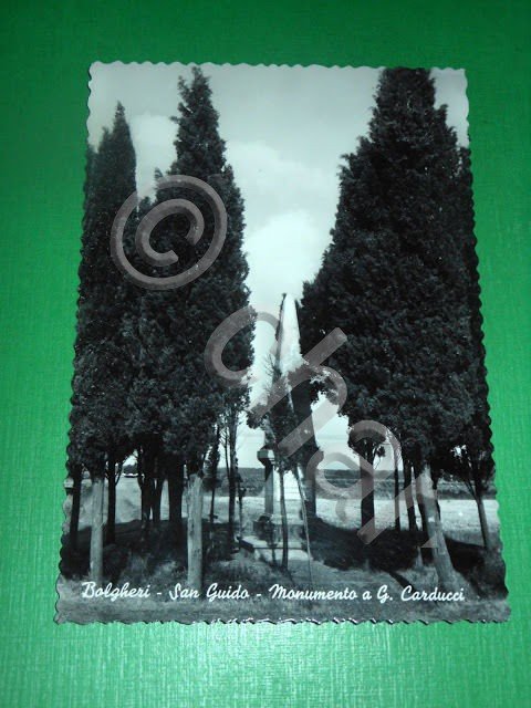 Cartolina Bolgheri - San Guido - Monumento a G. Carducci … | Immagine Gallery 2