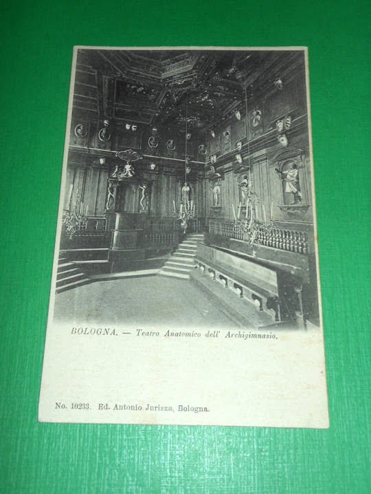 Cartolina Bologna - Teatro Anatomico dell' Archigimnasio 1910 ca.