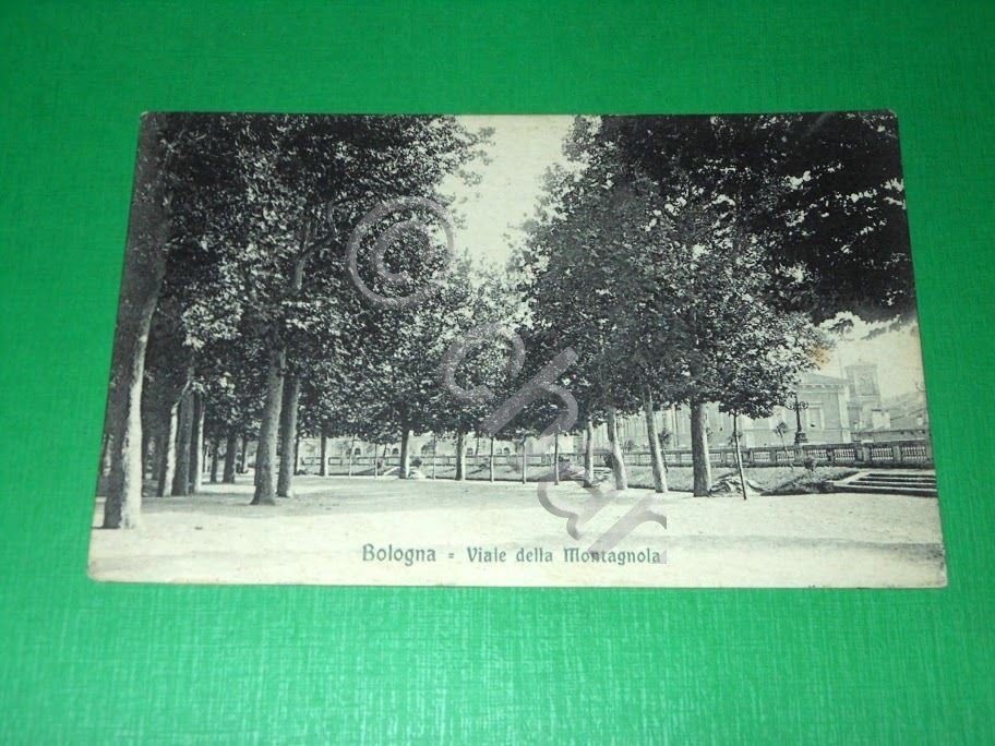 Cartolina Bologna - Viale della Montagnola 1907 | Immagine principale