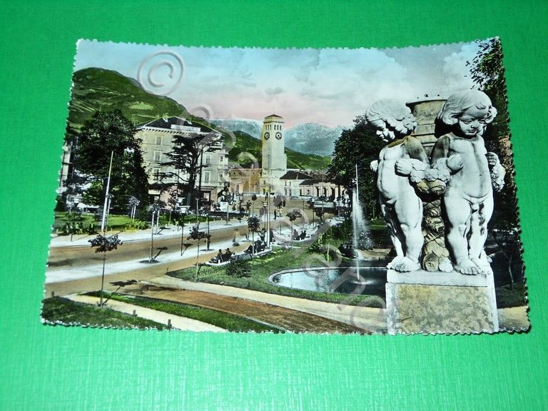 Cartolina Bolzano - Panorama 1954
