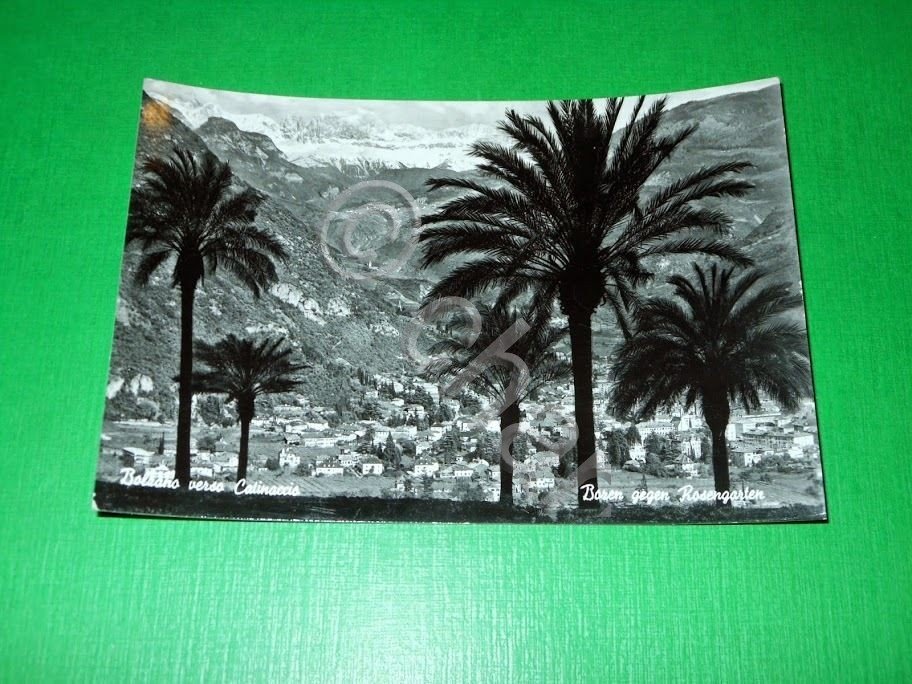 Cartolina Bolzano verso il Catinaccio - Panorama 1960 | Immagine principale