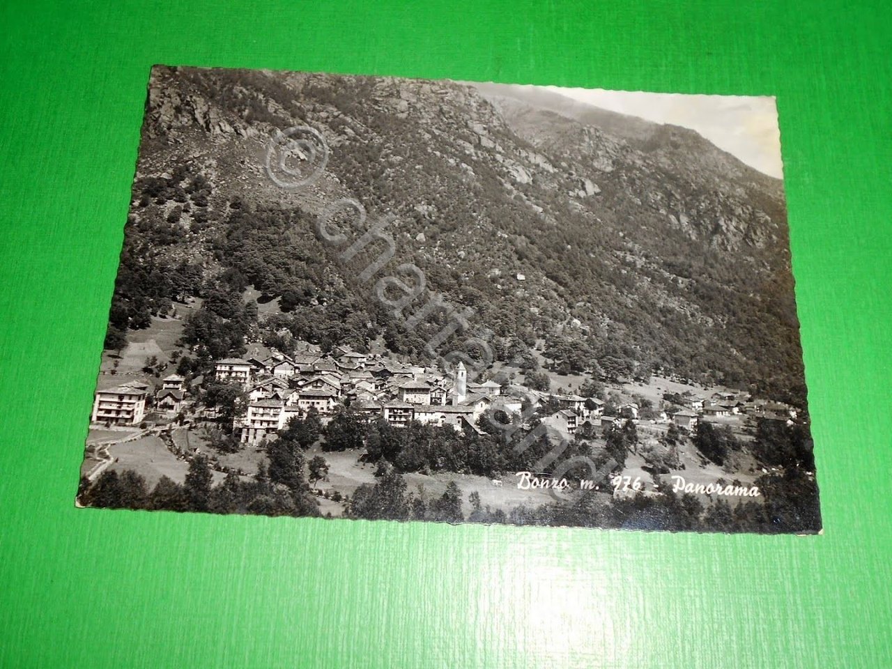 Cartolina Bonzo ( Torino ) - Panorama 1954