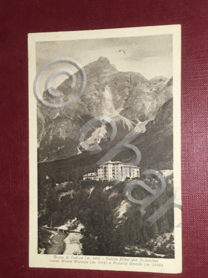 Cartolina Borca di Cadore - Palace Hotel des Dolomites - …