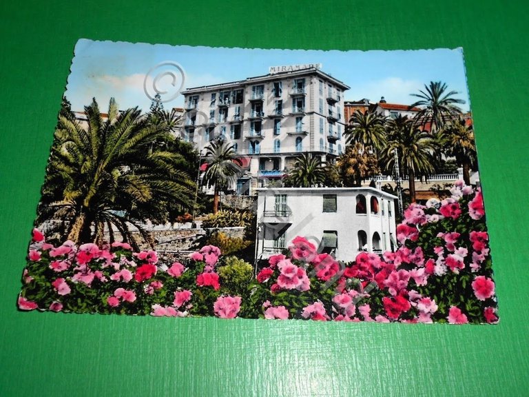 Cartolina Bordighera - Hotel MIramare 1958