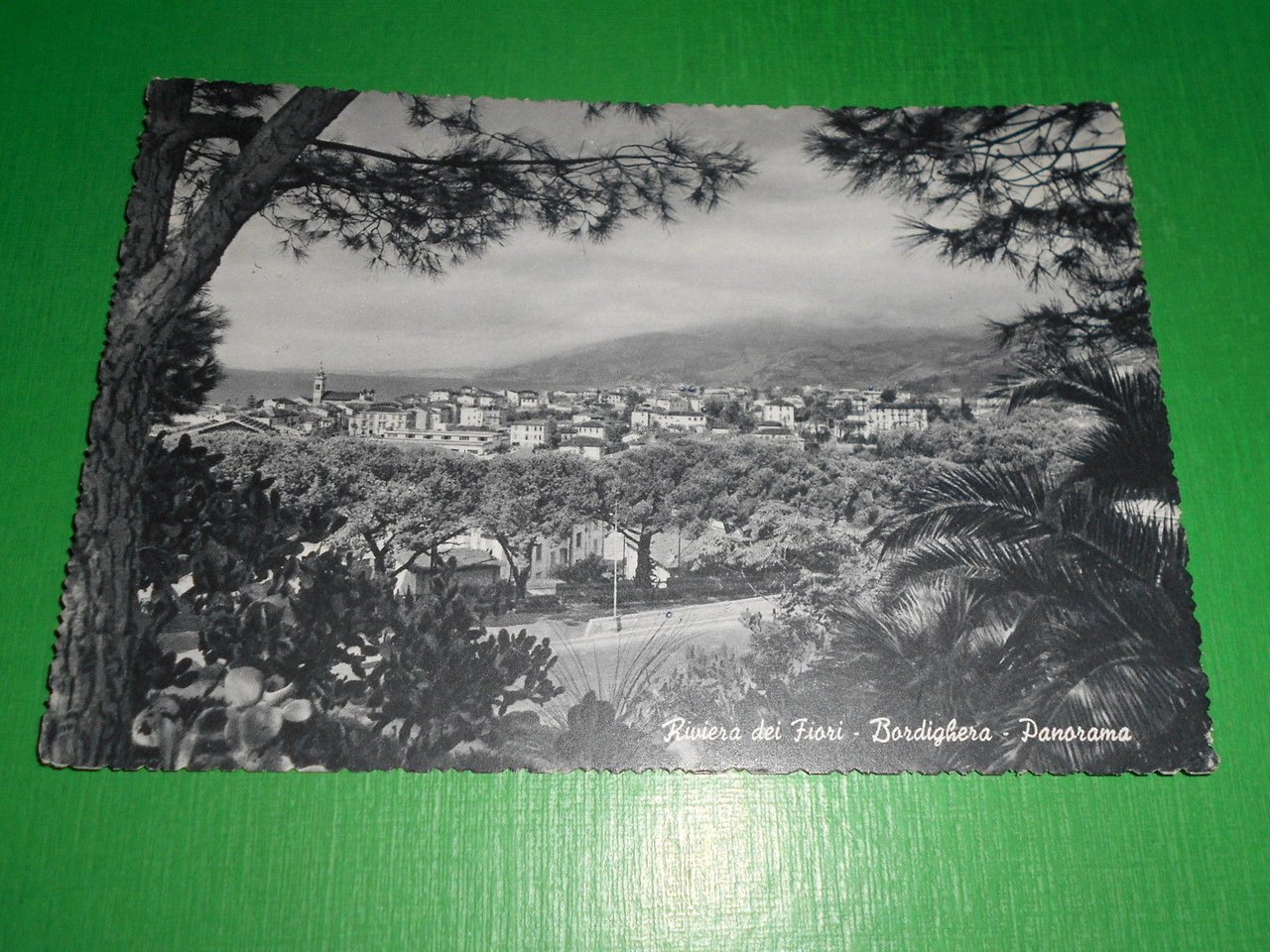 Cartolina Bordighera - Panorama 1955.