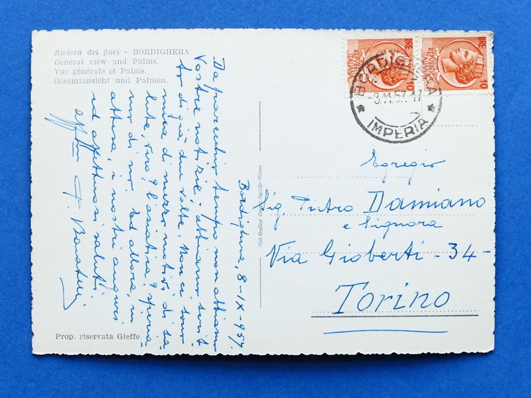 Cartolina Bordighera - Panorama e palmeti - 1957.