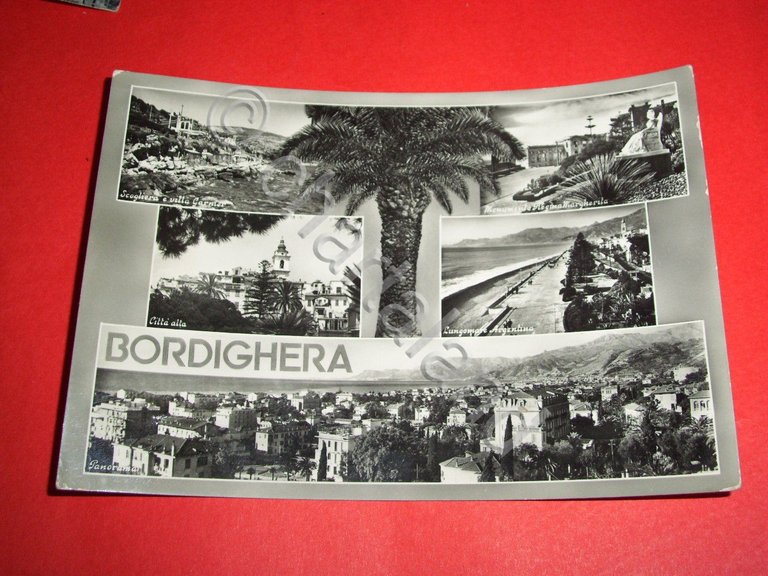 Cartolina Bordighera - Vedute diverse 1954