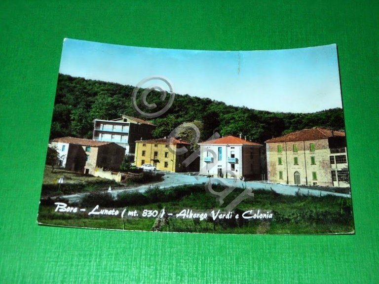Cartolina Bore - Luneto - Albergo Verdi e Colonia 1965