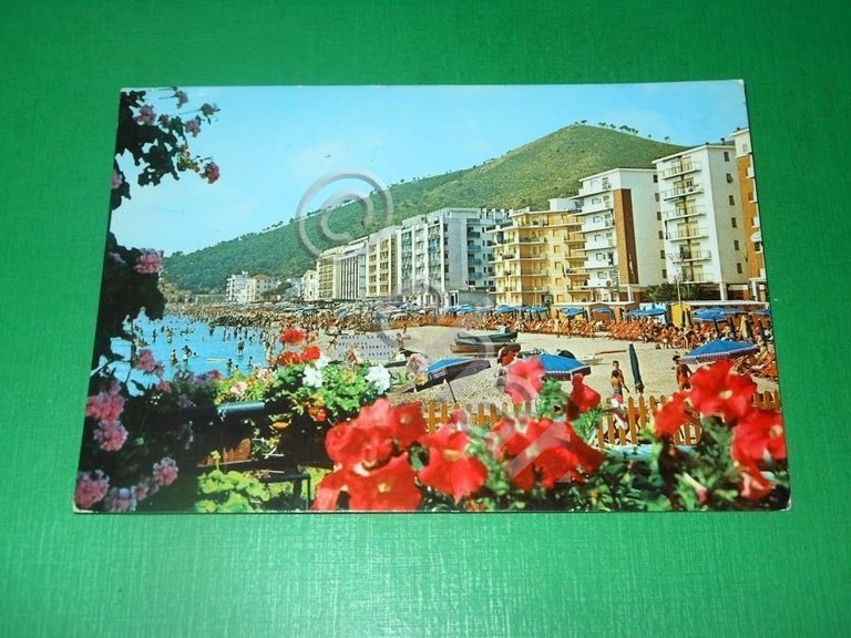 Cartolina Borghetto S. Spirito - Spiaggia 1979.