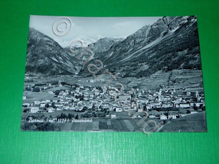 Cartolina Bormio - Panorama 1955