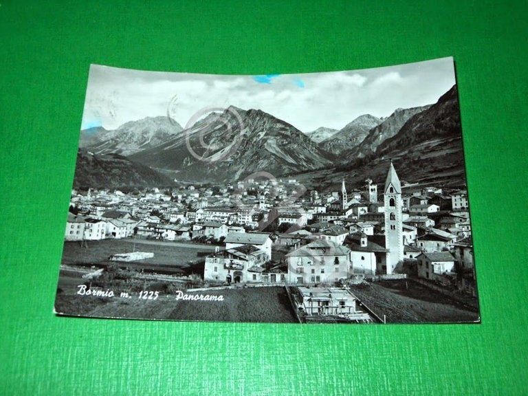 Cartolina Bormio - Panorama 1959