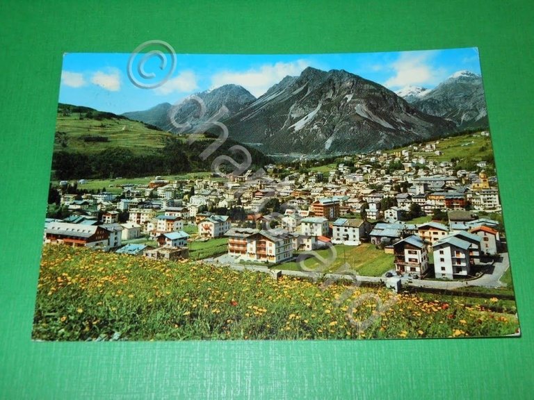 Cartolina Bormio - Panorama 1967