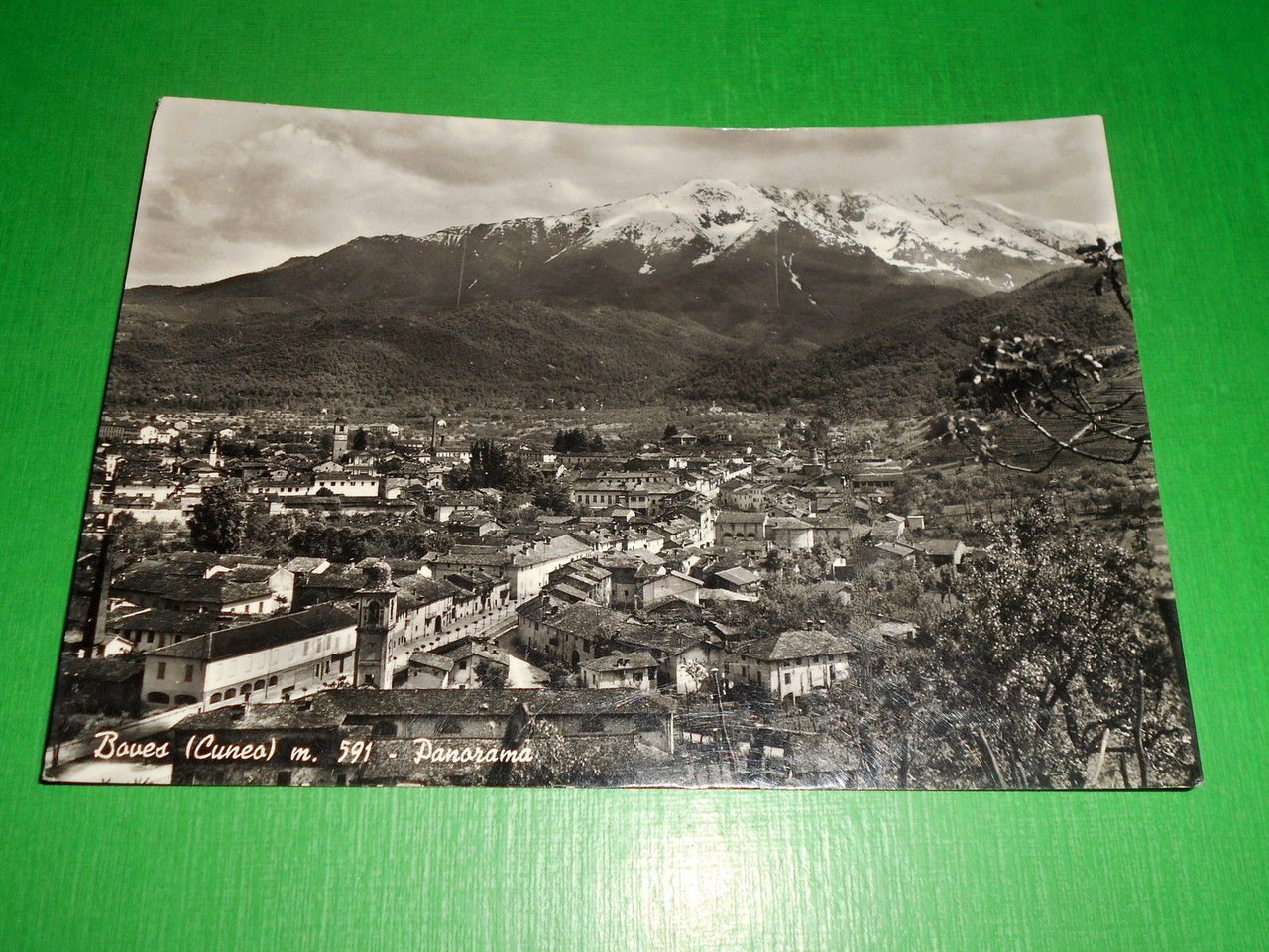 Cartolina Boves ( Cuneo ) - Panorama 1959.