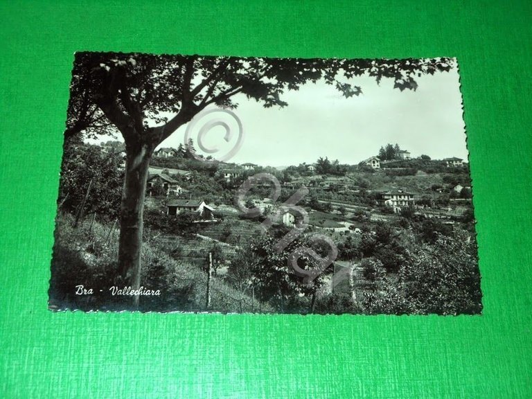 Cartolina Bra - Vallechiara 1959.