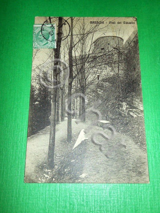 Cartolina Brescia - Viali del castello 1914 *