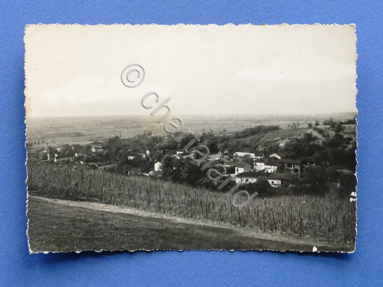 Cartolina Bruno - Scorcio Panoramico - 1959