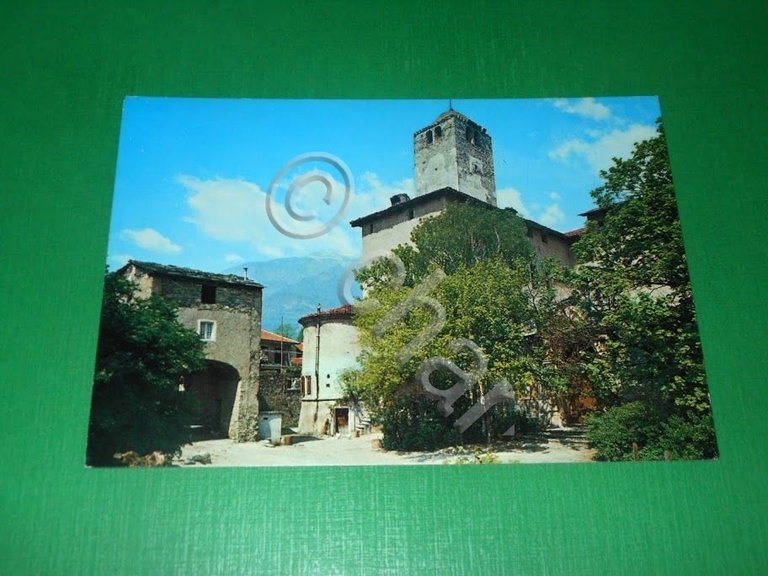 Cartolina Bruzolo ( Torino ) - Il Castello 1970 ca.