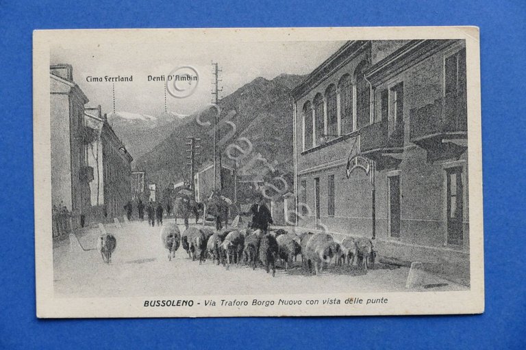 Cartolina Bussoleno - Via Traforo Borgo Nuovo - 1910 ca.