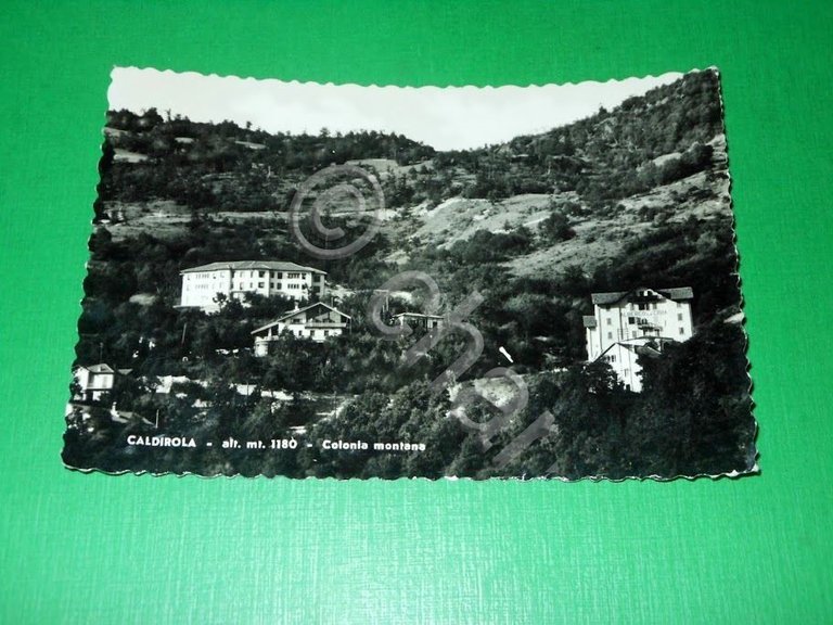 Cartolina Caldirola - Colonia montana 1957