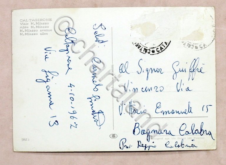 Cartolina Caltagirone - Viale M. Milazzo - 1967