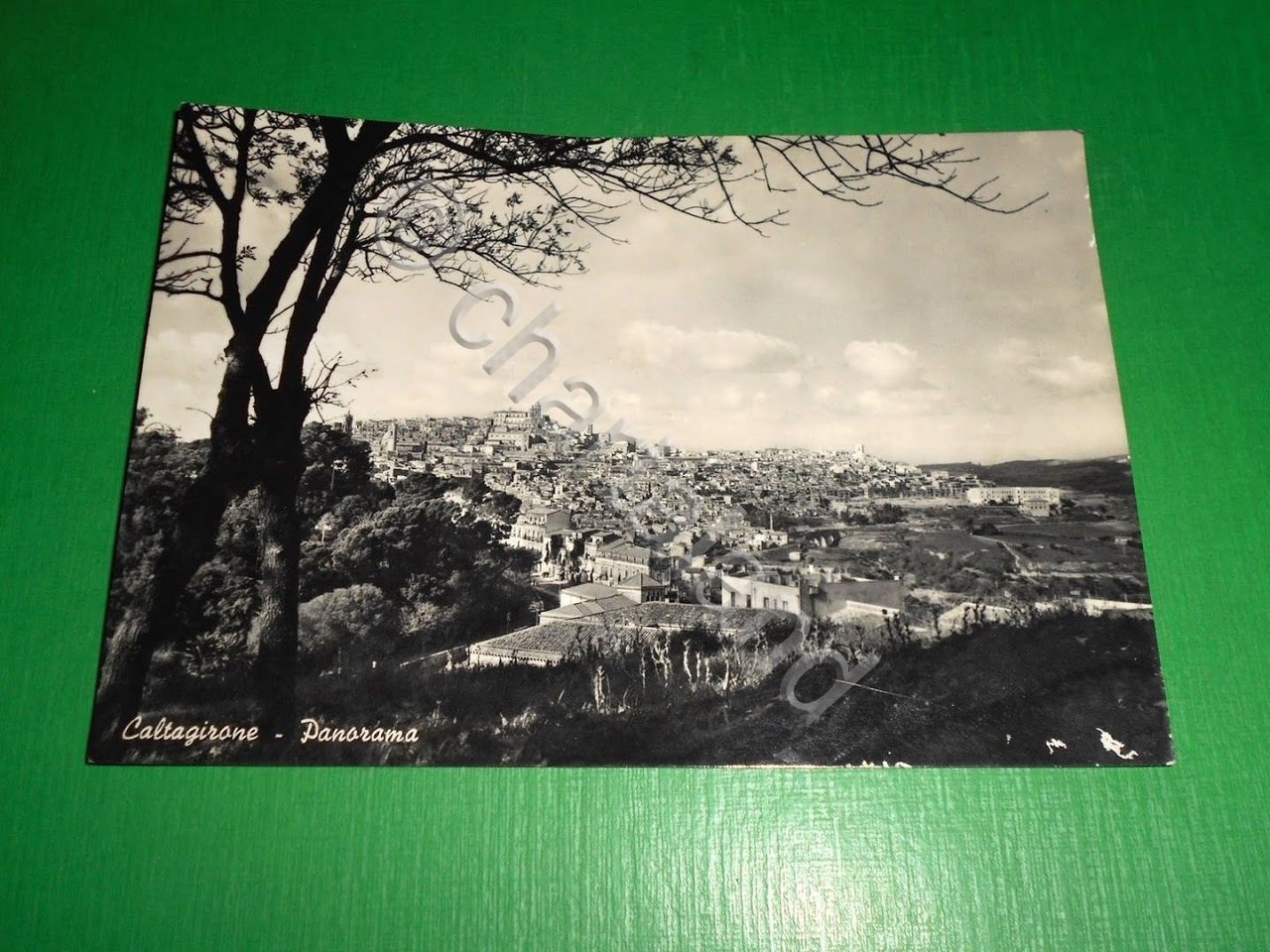 Cartolina Caltagirone ( Catania ) - Panorama 1956. | Immagine principale