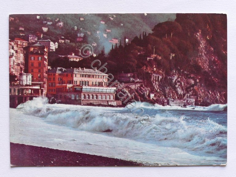 Cartolina Camogli - Golfo Paradiso - Cenobio dei Dogi - …