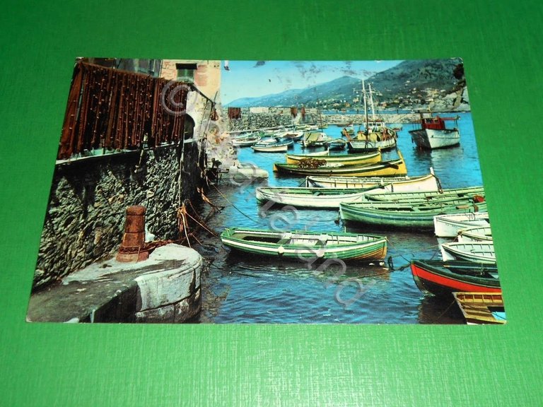 Cartolina Camogli - Golfo Paradiso - Nel porto 1961
