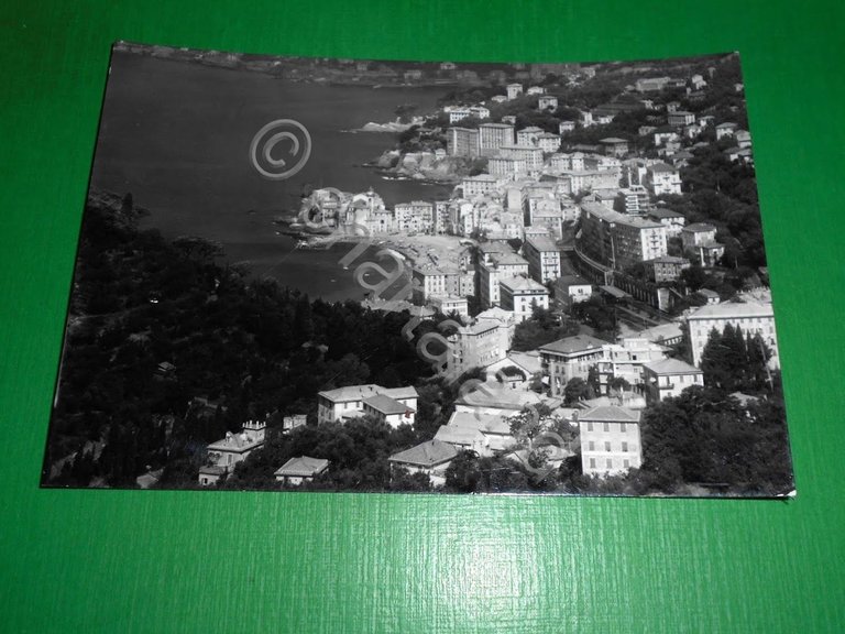 Cartolina Camogli - Golfo Paradiso - Panorama 1963 | Immagine Gallery 2