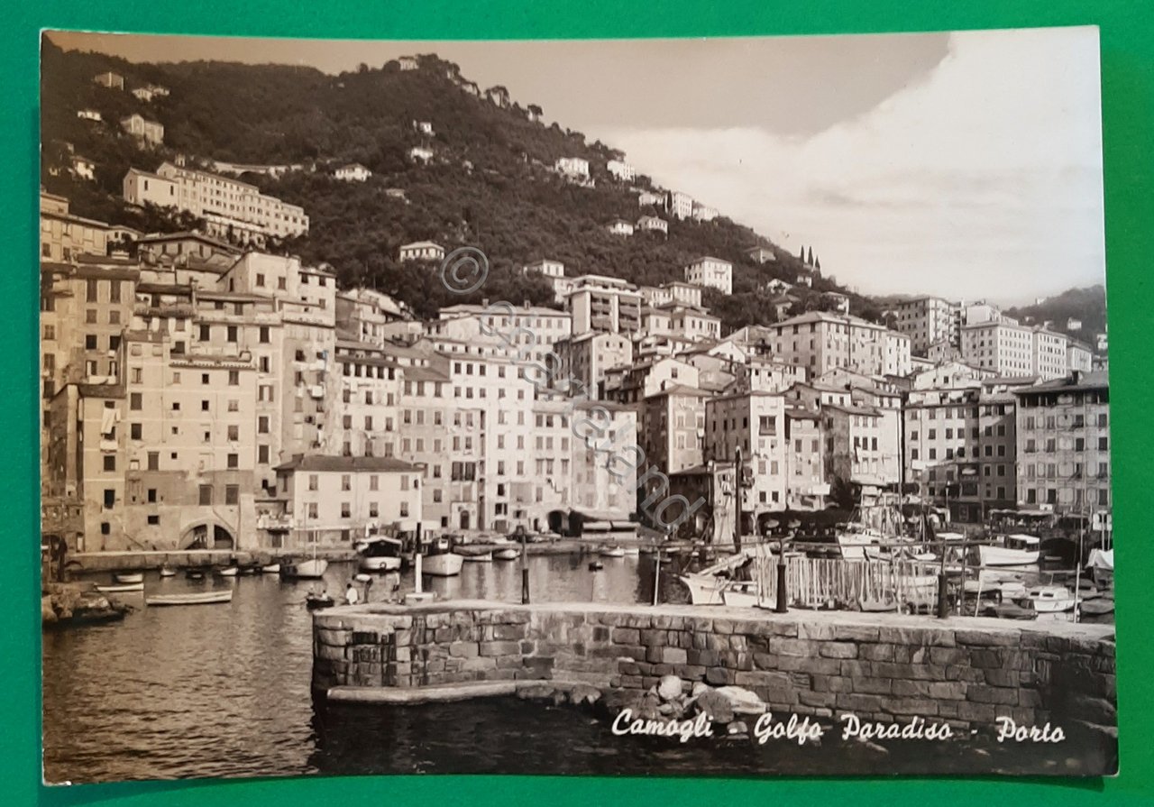 Cartolina Camogli - Golfo Paradiso - Porto - 1960