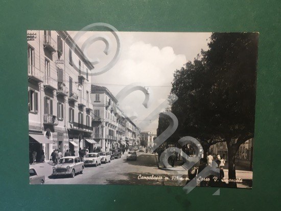 Cartolina Campobasso - Corso V. Emanuele - 1964