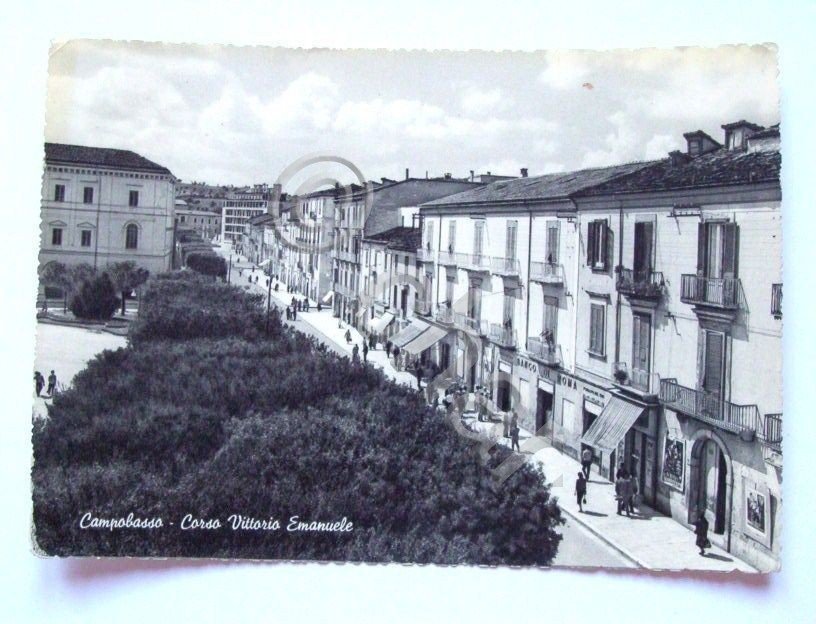 Cartolina Campobasso - Corso Vittorio Emanuele 1951.