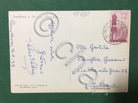 Cartolina Campobasso - Panorama - 1958