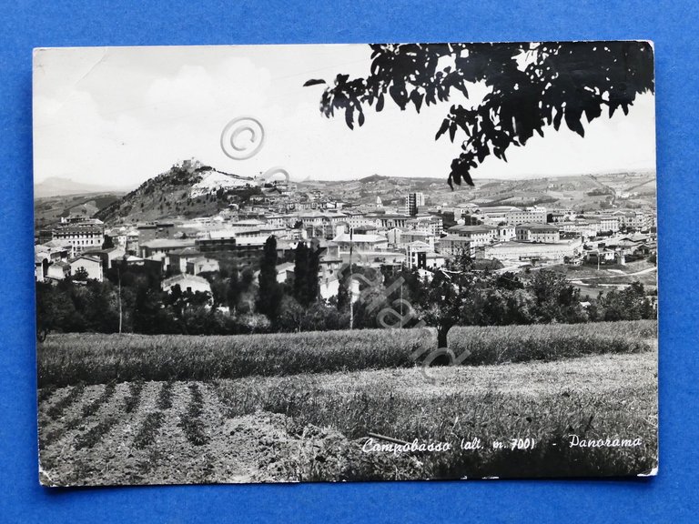 Cartolina Campobasso - Panorama - 1961.