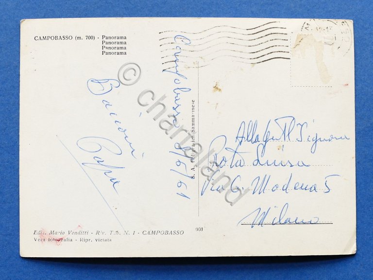 Cartolina Campobasso - Panorama - 1961.