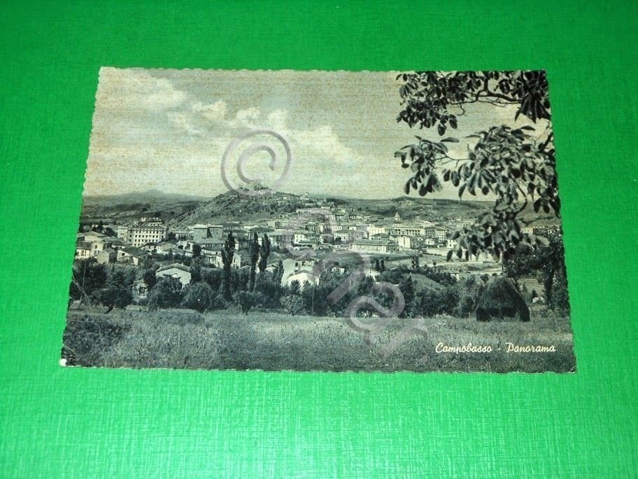 Cartolina Campobasso - Panorama 1962.